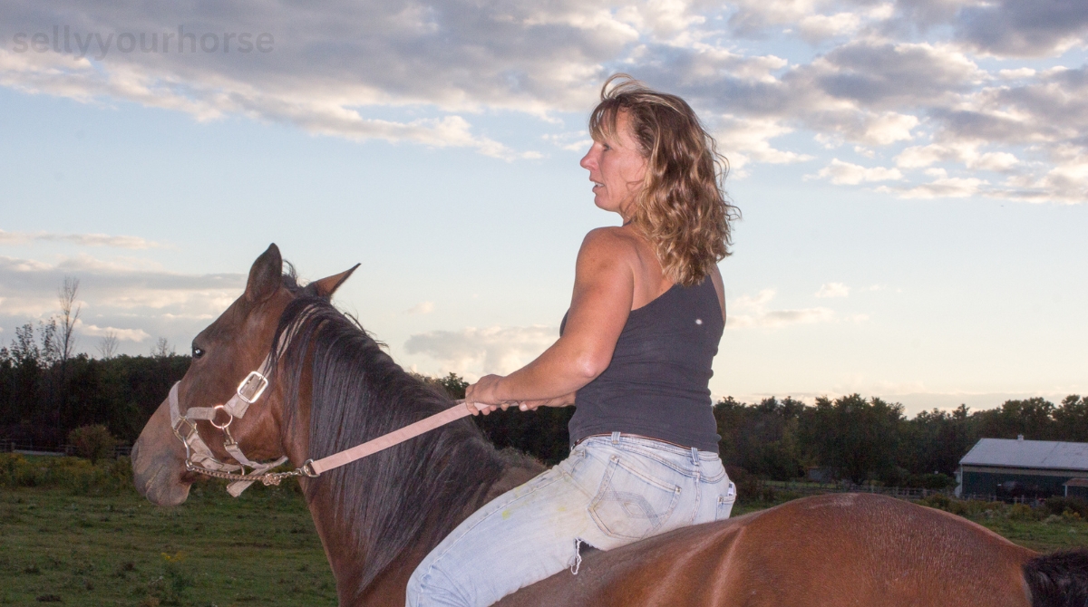Volunteer aids horse training