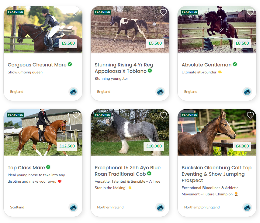 Sell Your Horse