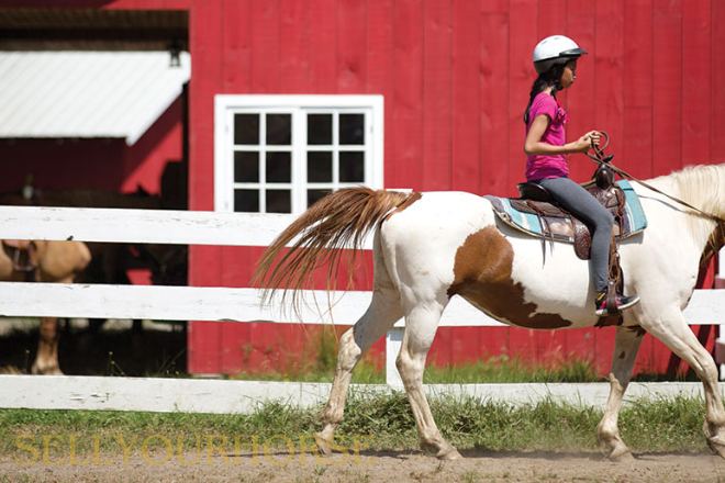  Kids Prepare for Horseback Riding Sleepaway Camps?