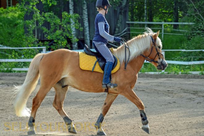 horseback riding sleepaway camp for your child