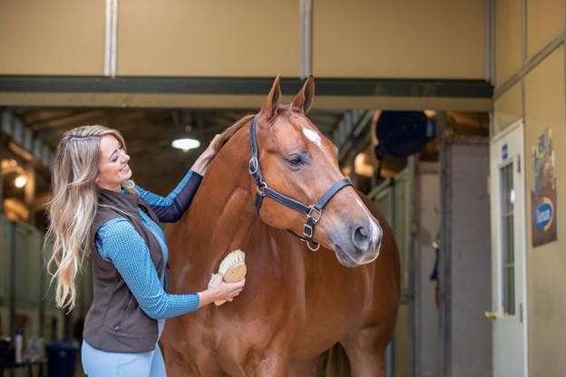 horse grooming for health