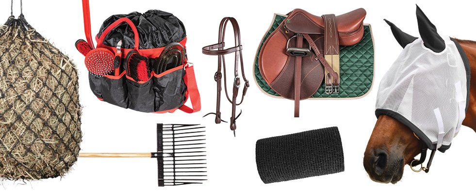 Essential Horse Riding Gear for Beginners