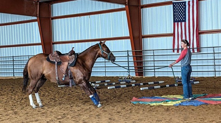 Understanding Your Fear When Riding New Horses
