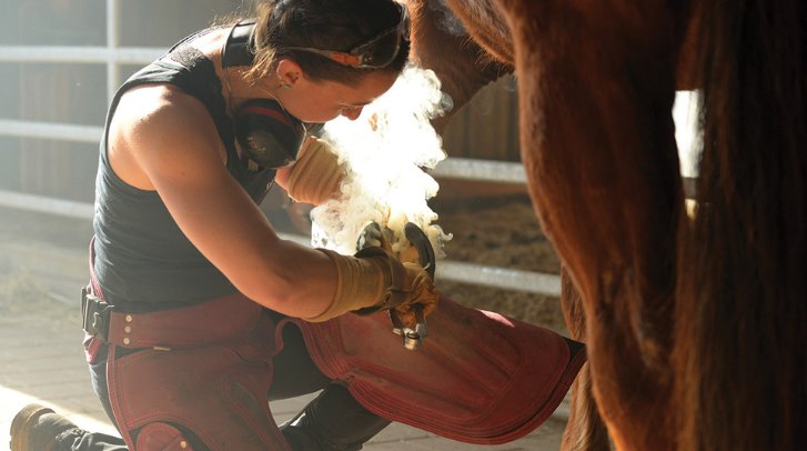 Working with Your Farrier 