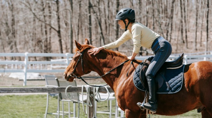 Horse Riding Gear 