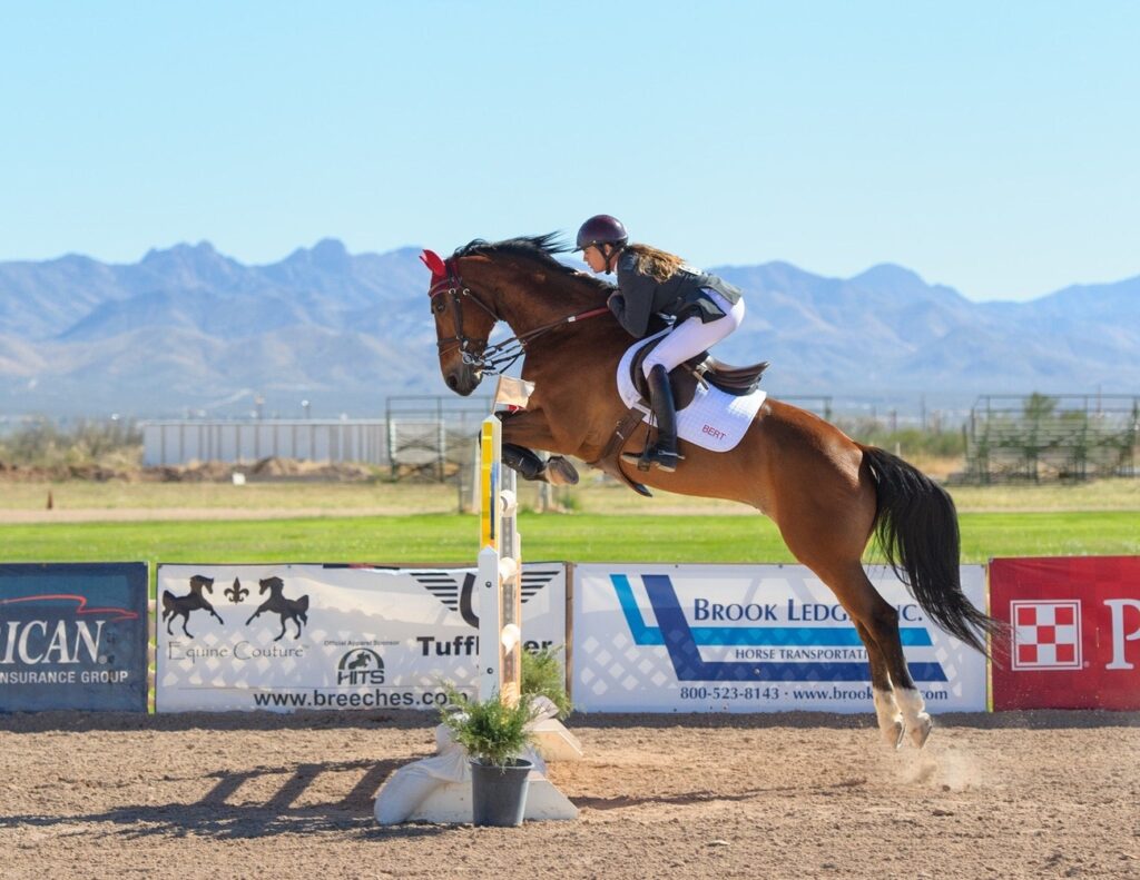 Show Jumping Tack Requirements