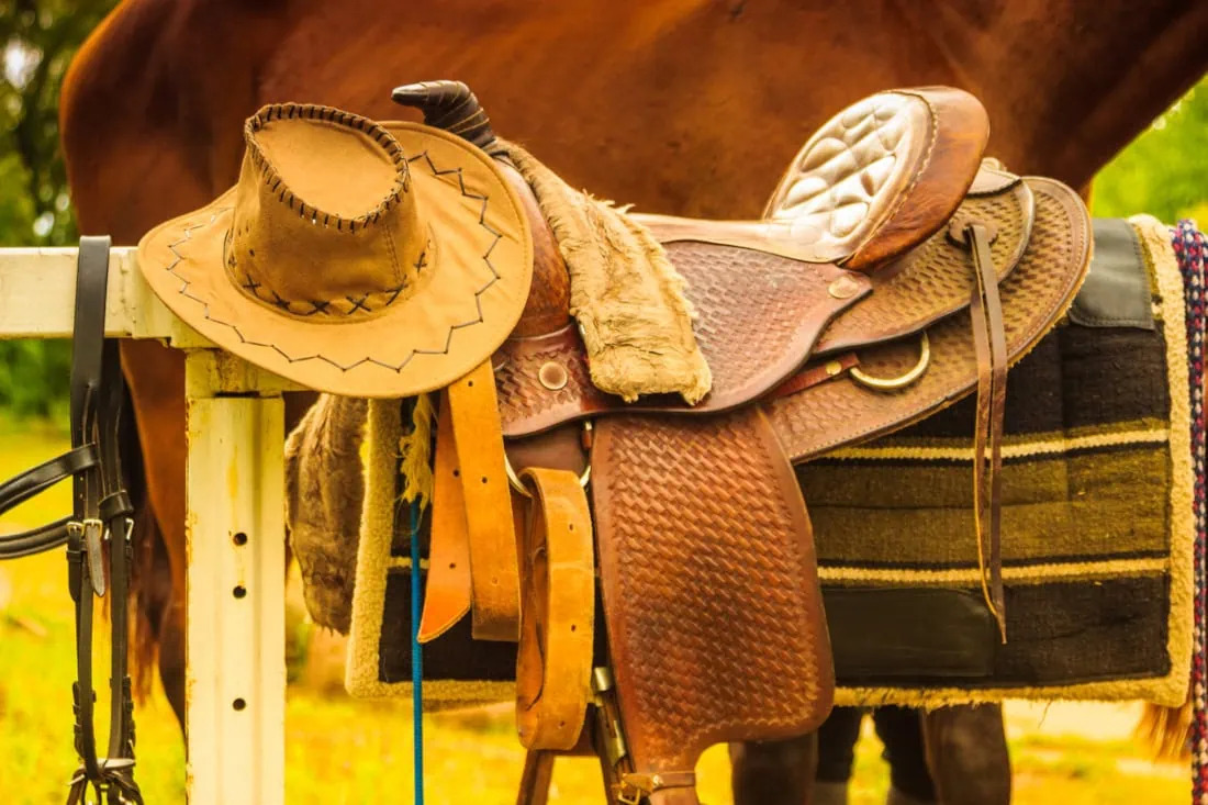 Best Tack for Specific Disciplines: What You Need to Know
