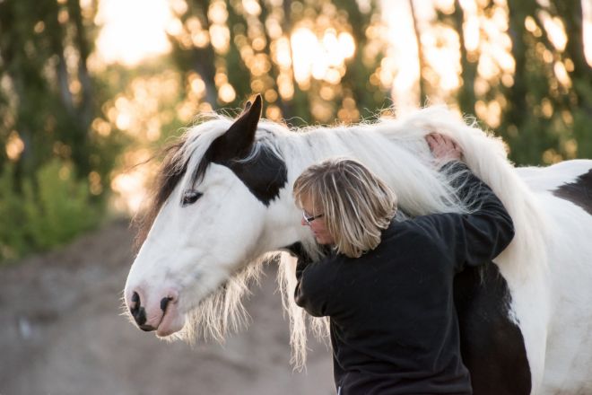 Train Your Horse