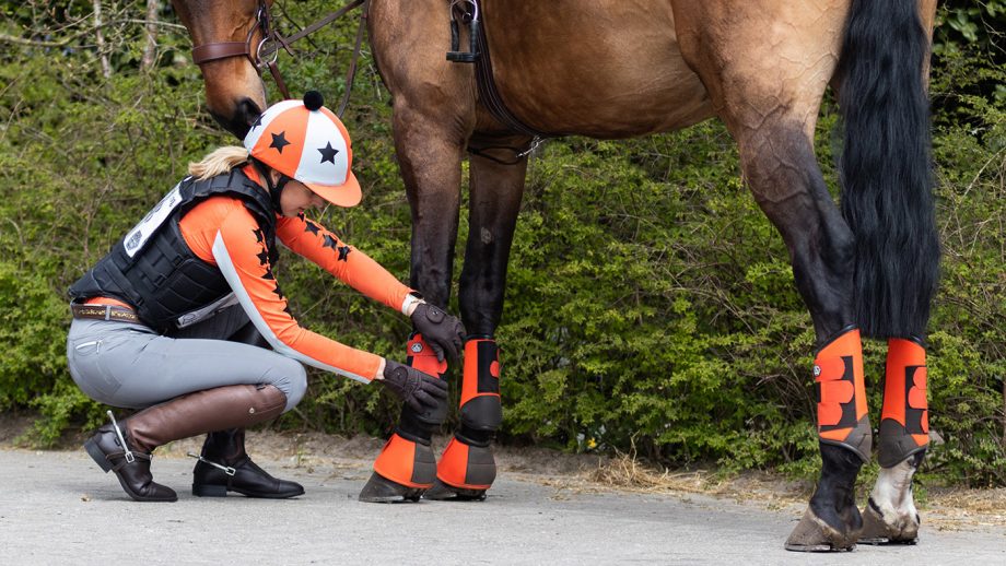 Show Jumping Tack Requirements