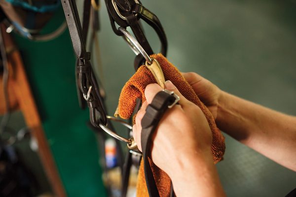Maintaining Your Horse Tack: Cleaning and Repair Tips