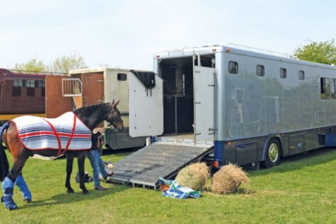 sell your horse