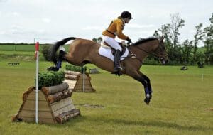 Perfect for the “Health considerations as they age” section