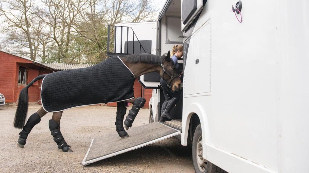 Mistakes When Selling a Horse or Horsebox