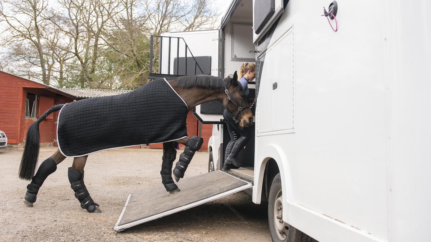 Mistakes When Selling a Horse or Horsebox