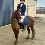 8-Year-Old, 13.2hh Welsh X