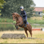 Grace – A Wonderful Pony For Sale